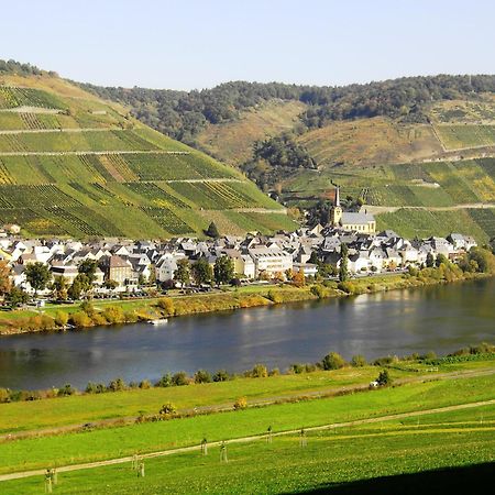 Weinstube Pension Moselblümchen Zeltingen-Rachtig Exterior foto