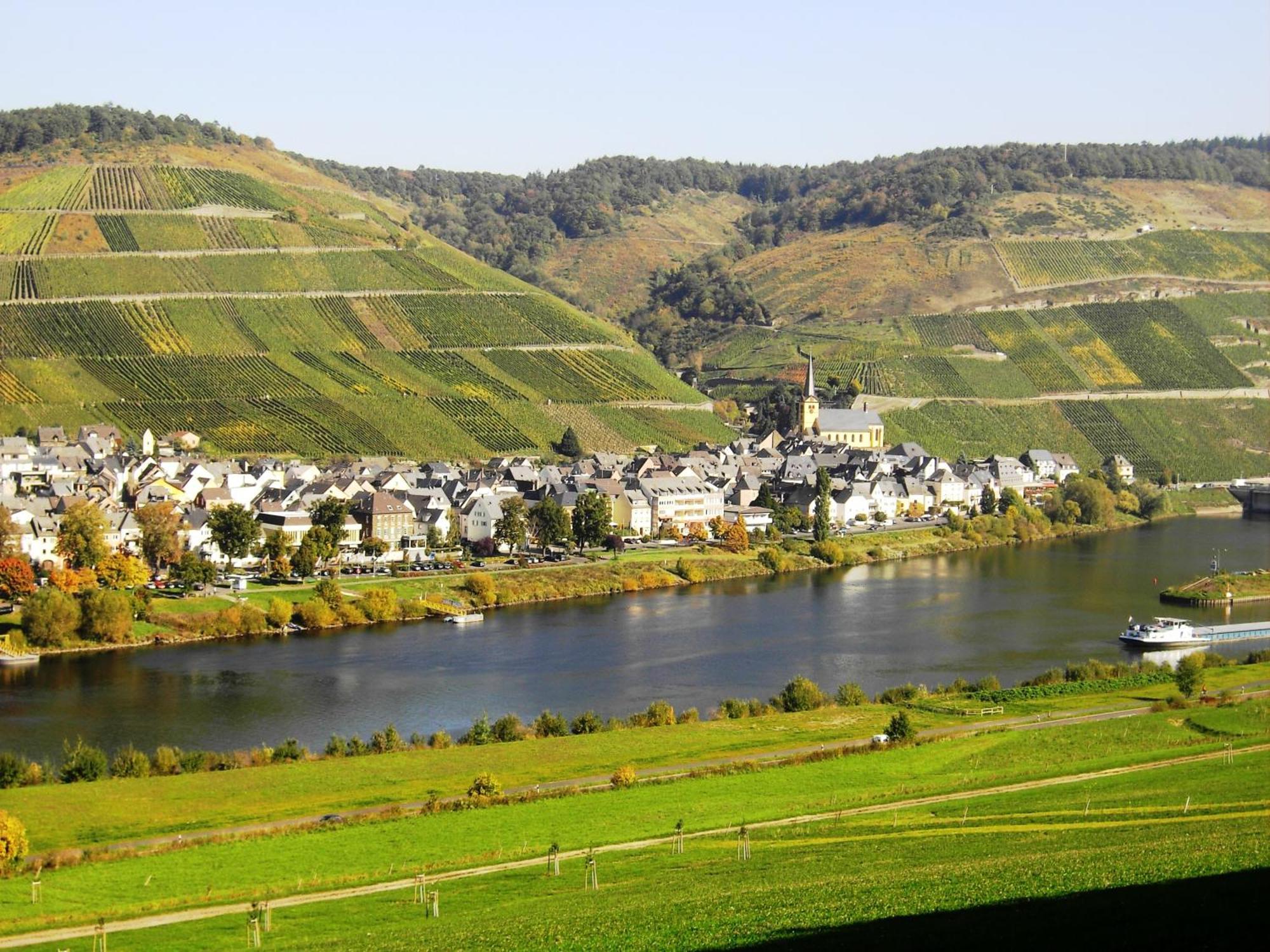 Weinstube Pension Moselblümchen Zeltingen-Rachtig Exterior foto