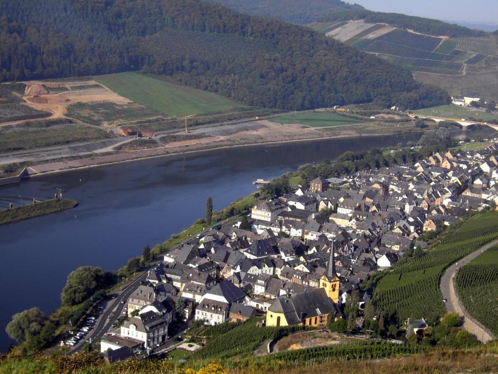 Weinstube Pension Moselblümchen Zeltingen-Rachtig Exterior foto