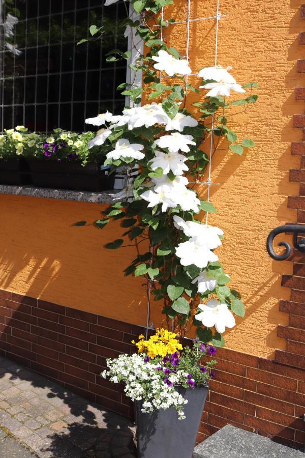 Weinstube Pension Moselblümchen Zeltingen-Rachtig Exterior foto